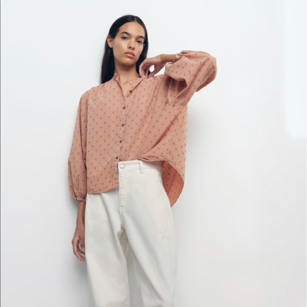 Zara Women Swiss Dot Blouse with Voluminous Sleeves M Beige-Pink